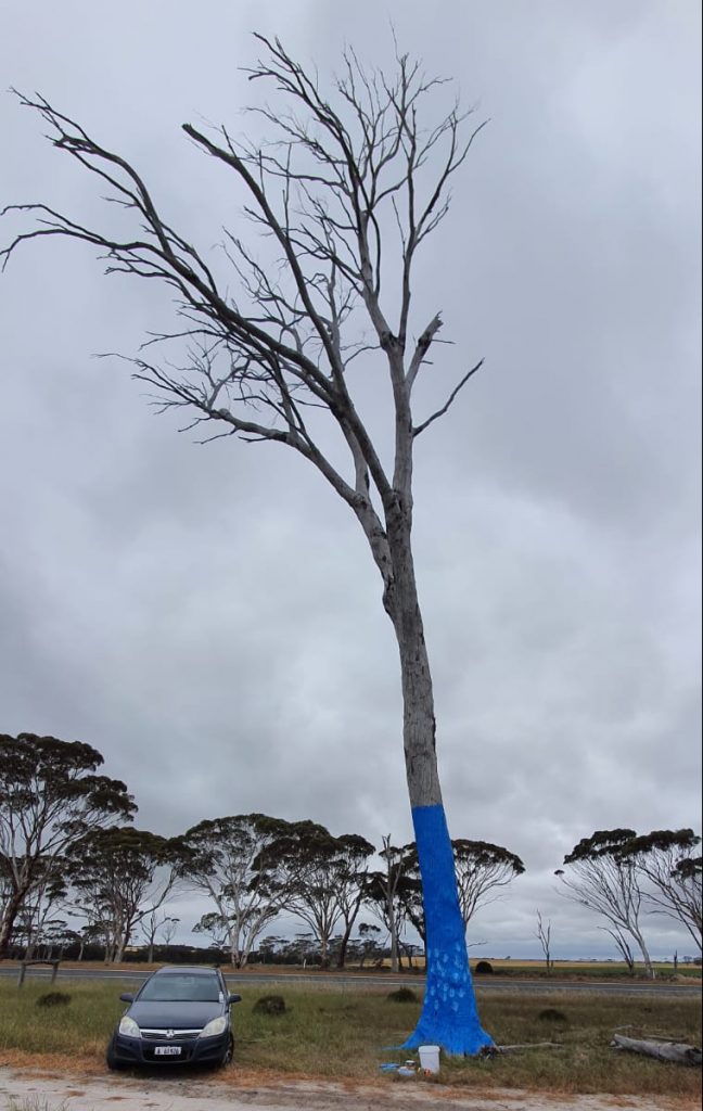 Blue Tree Project- RRT tackles mental health in Gnowangerup community